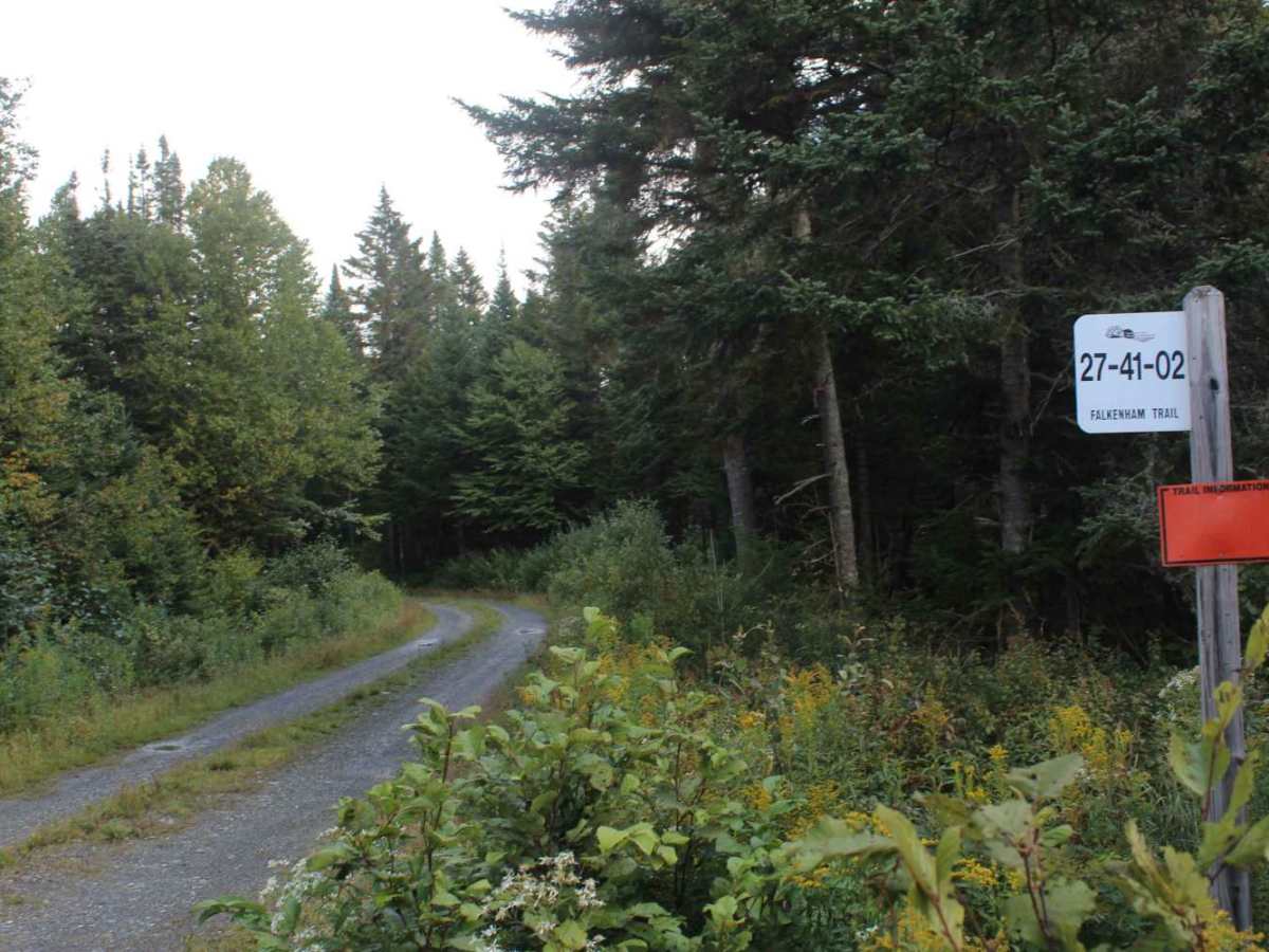 Falkenham Trail trail photo