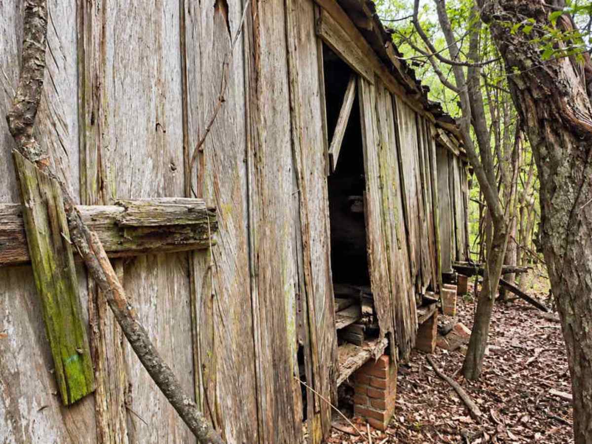 Old Ruins Trail photo 3