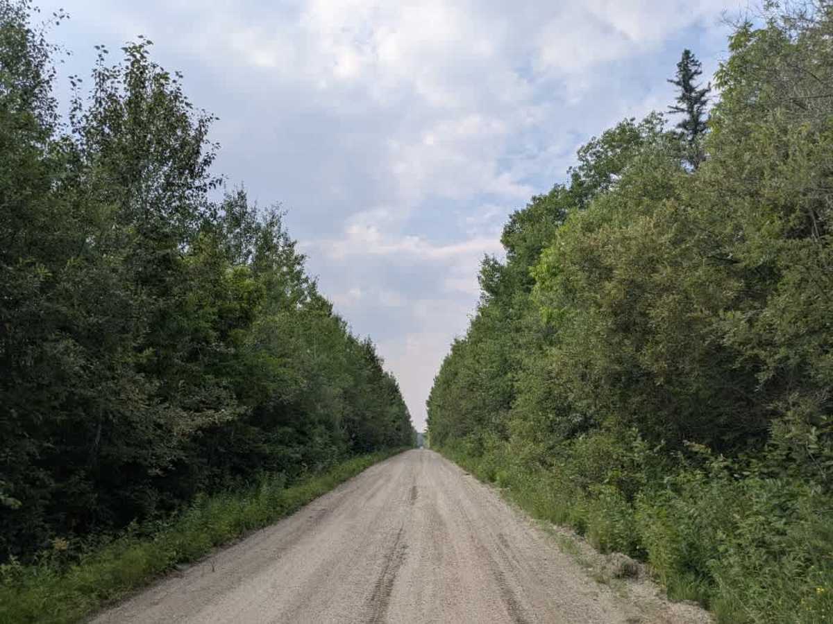 Boise Cascade trail photo