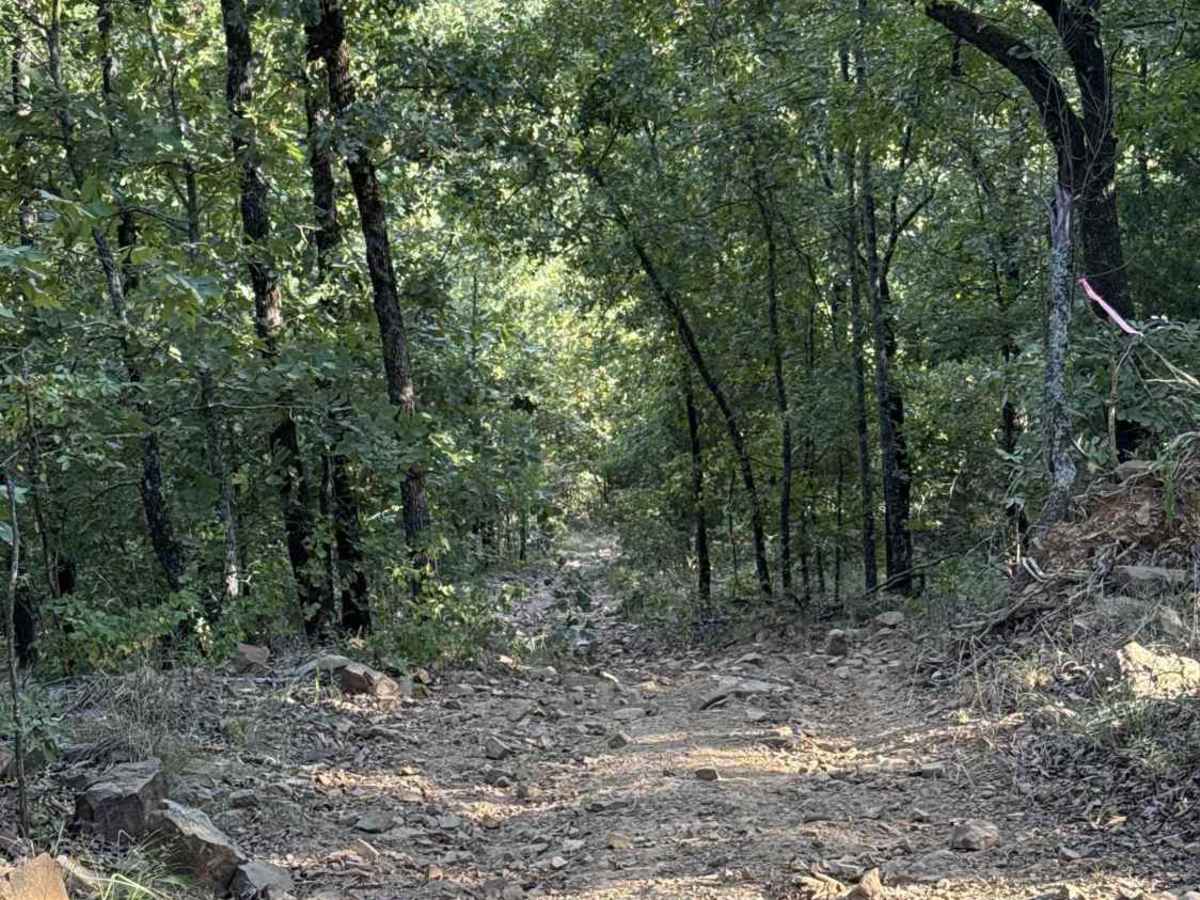 Iwa Ridge trail photo