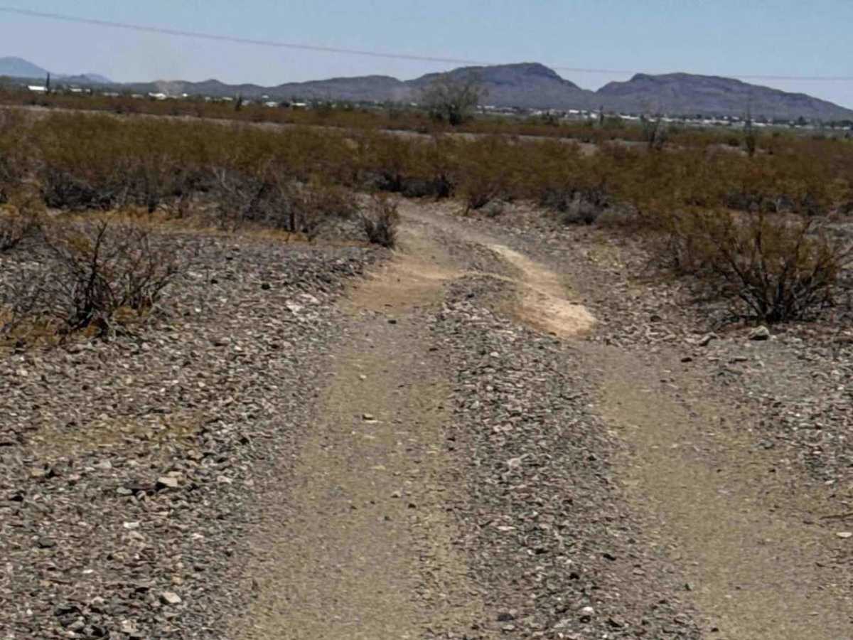 Palo Verde Run  trail photo