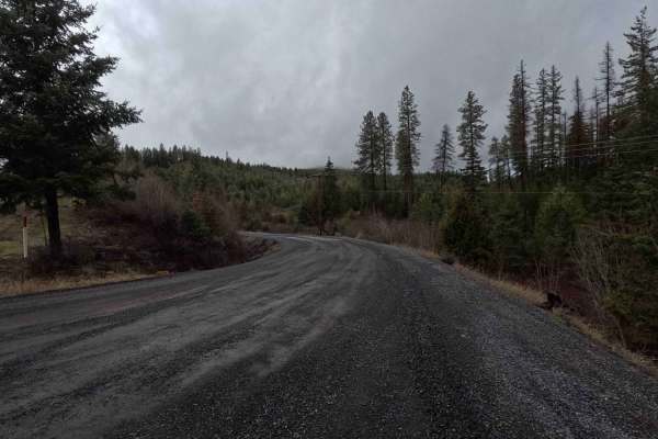 Brush Creek - Trail 289