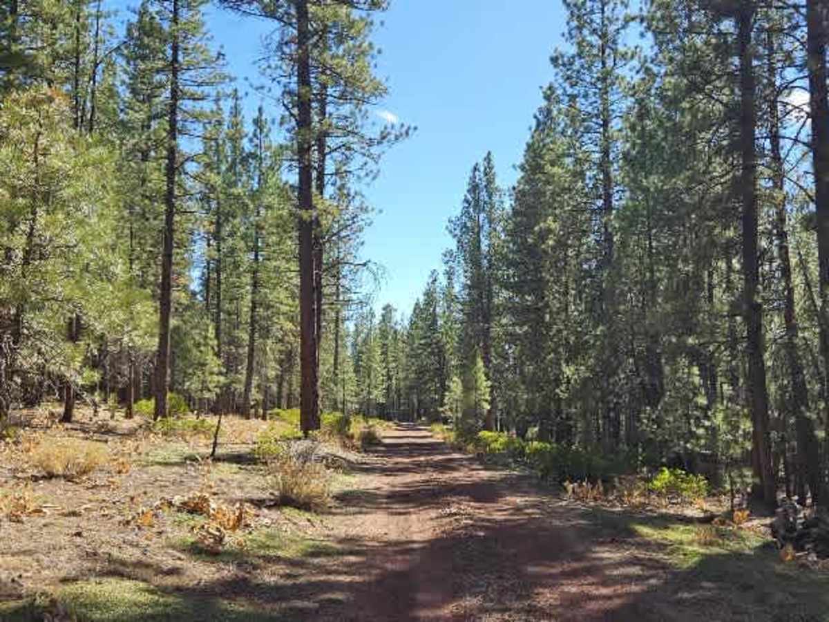 FS 33N47 trail photo