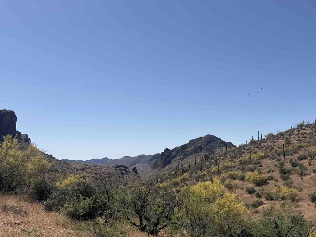 Castle Creek Road Copperopolis  photo 5