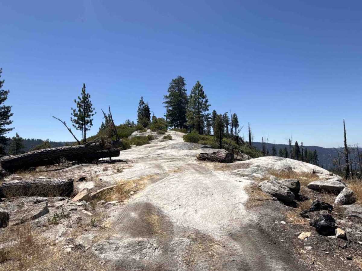 Penstock Spur - FS 8N15A photo 3
