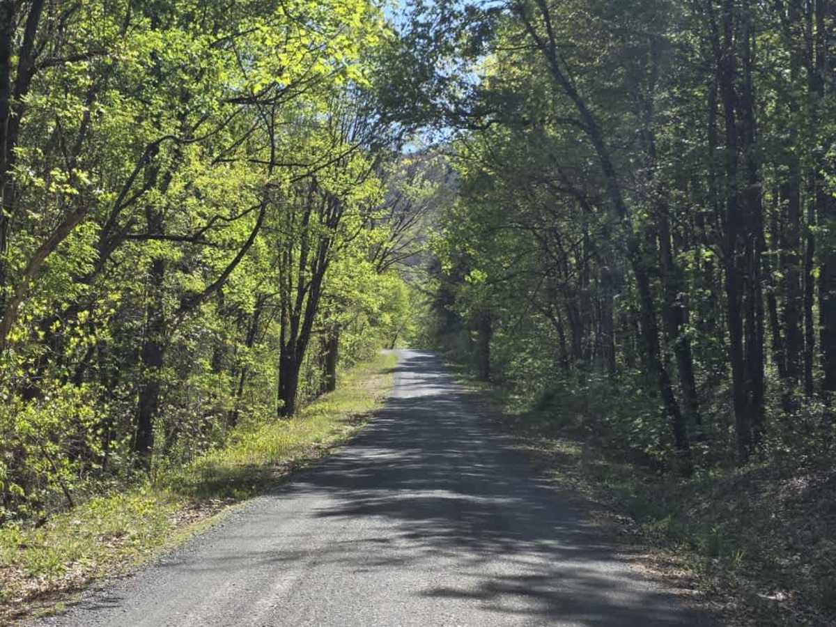 Flatwoods Road photo 5