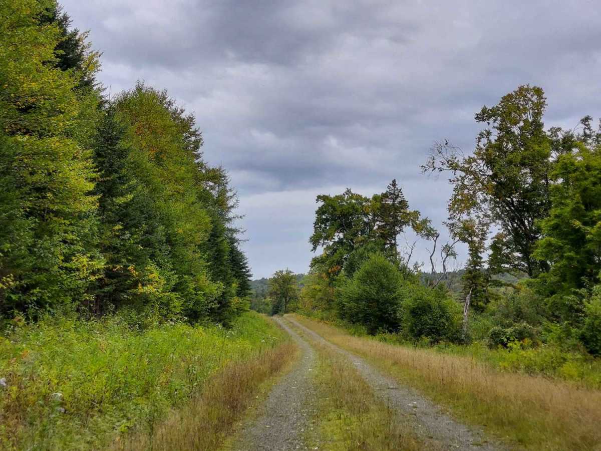 Leighton Brook Road trail photo