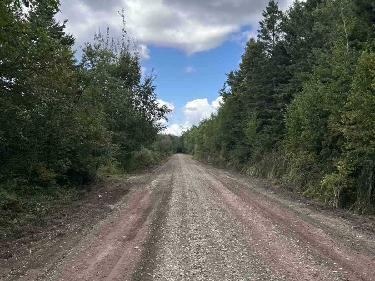 Haywire Grade ORV Trail photo 4