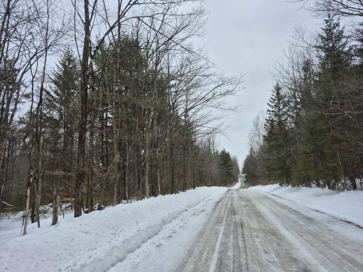 Partridge Run photo 5