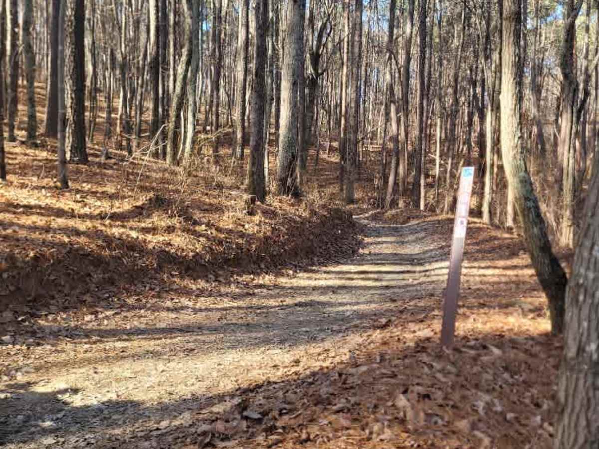 181-D trail photo