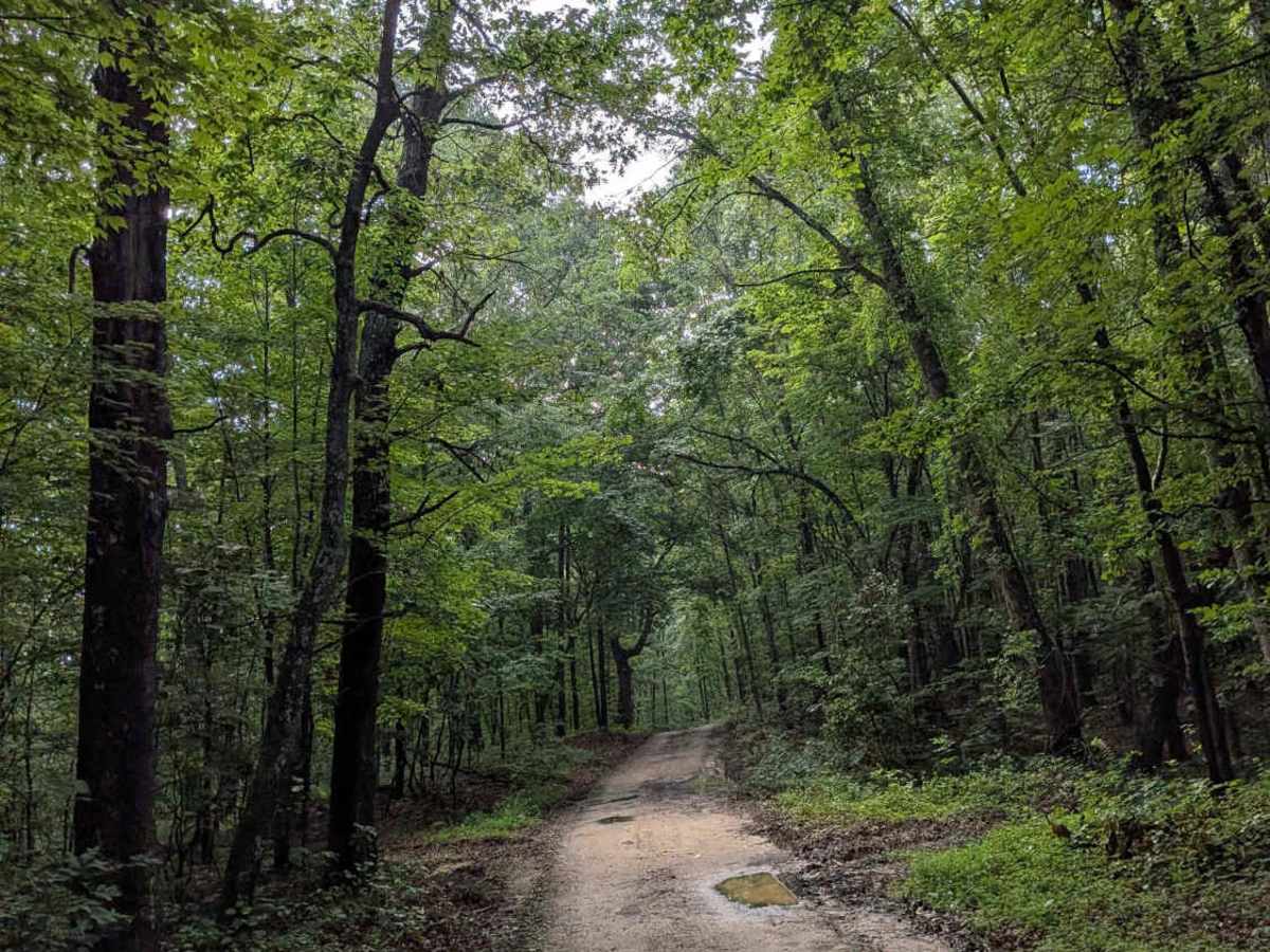 Lusk Point Road photo 3