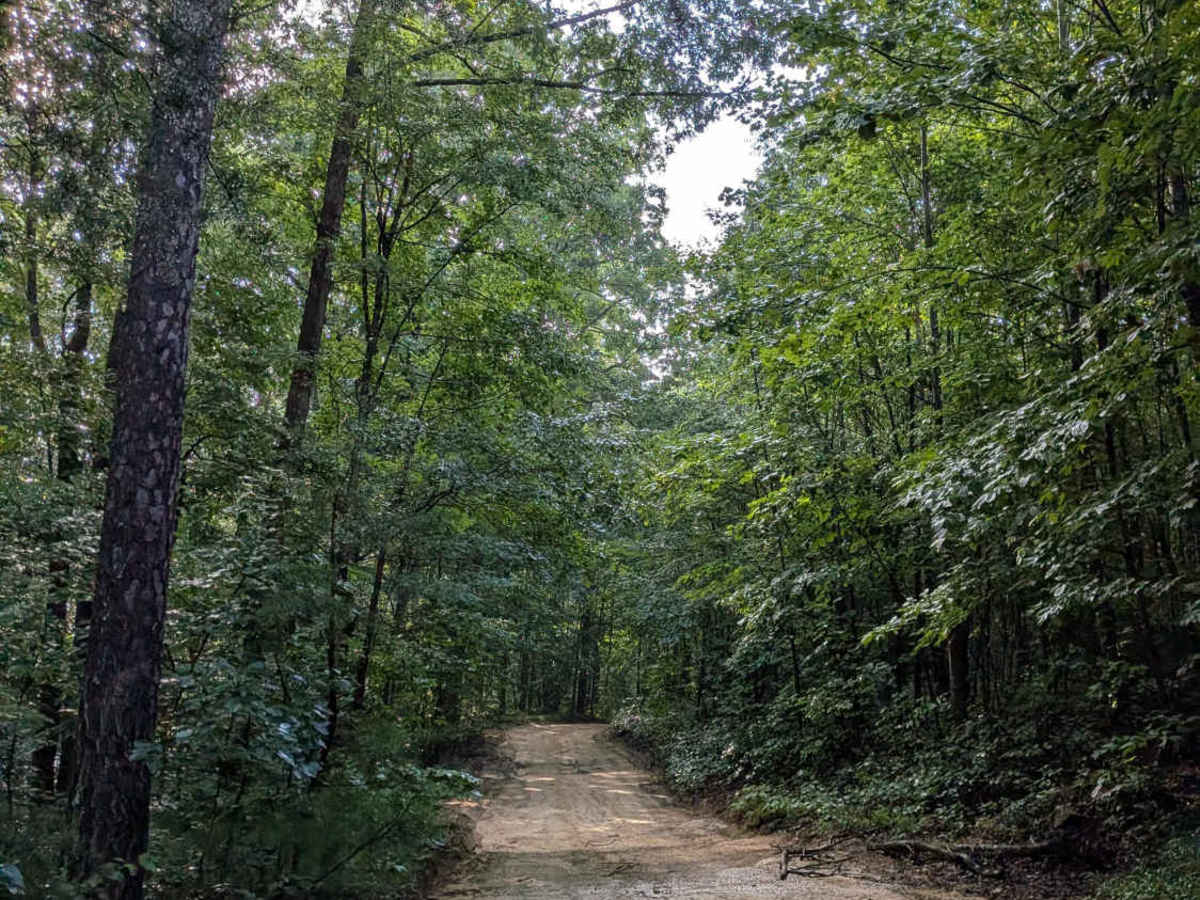 Braddison Branch Road photo 6