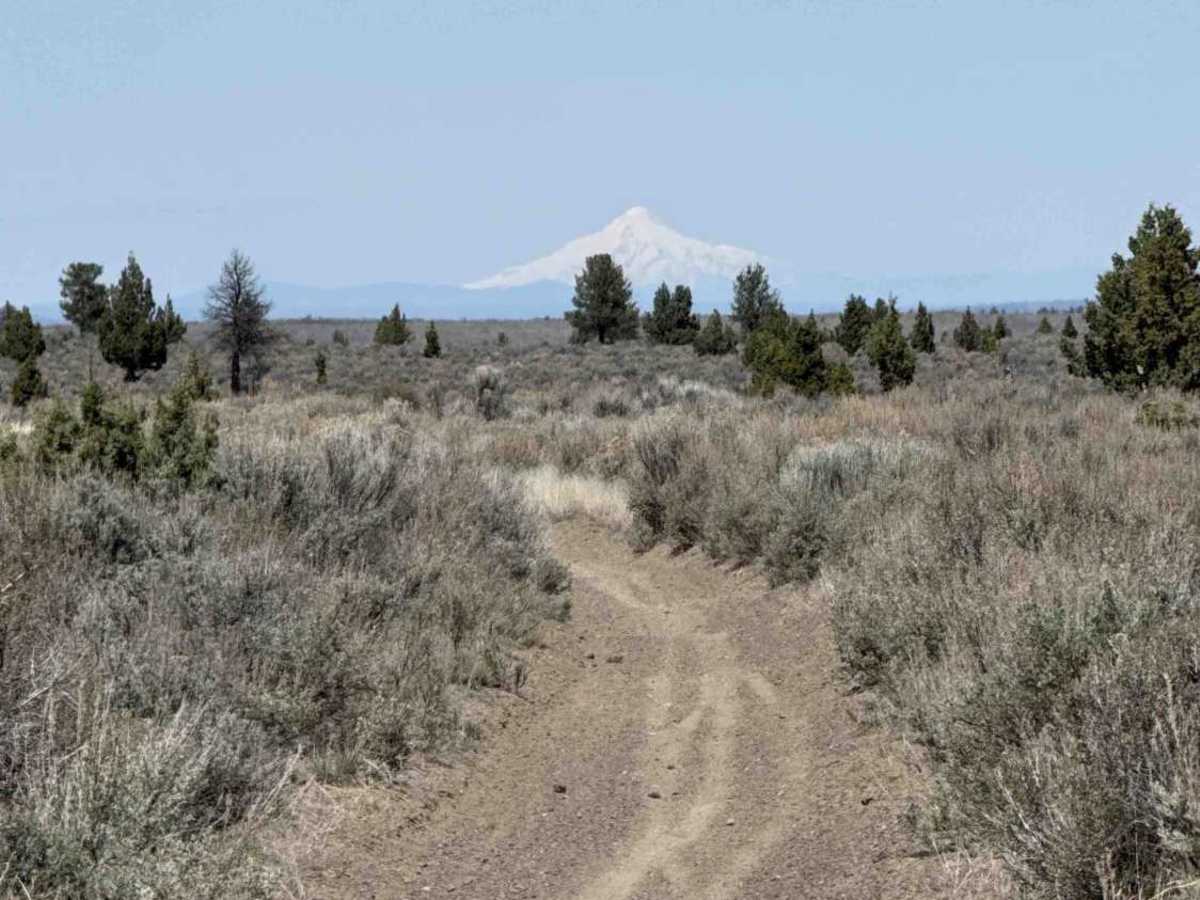 East Fort Rock - OHV Trail 10 photo 3