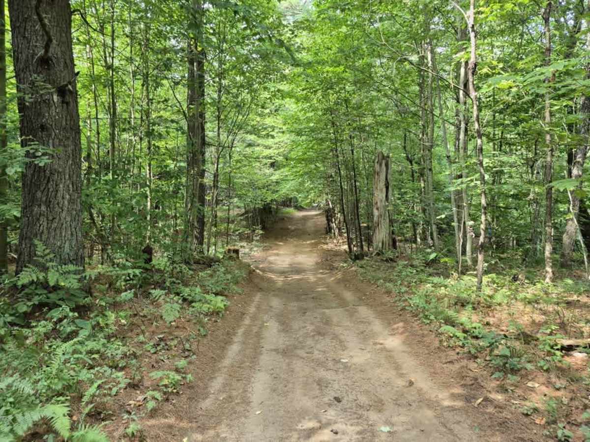 Middle Road photo 4