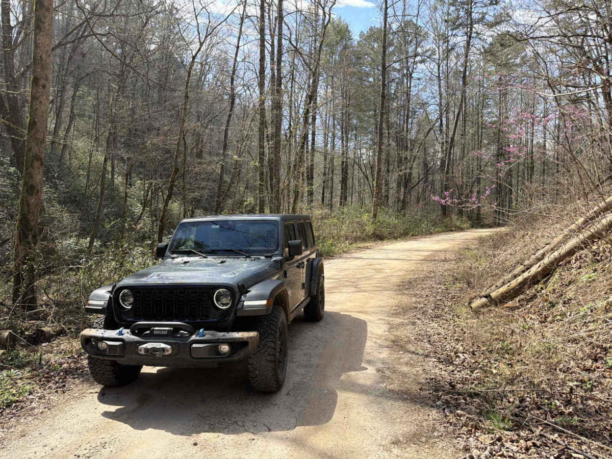 Brasstown Falls - FS 751 photo 6