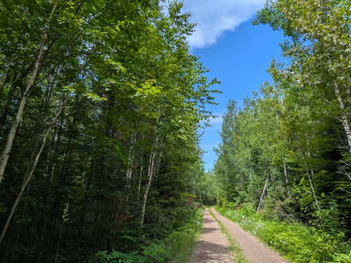 Kane Lake Spur J photo 4