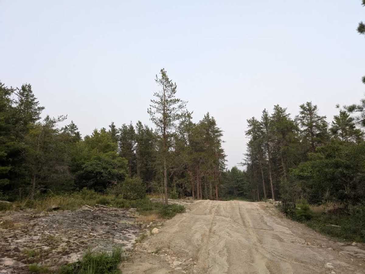 Maude Lake photo 5