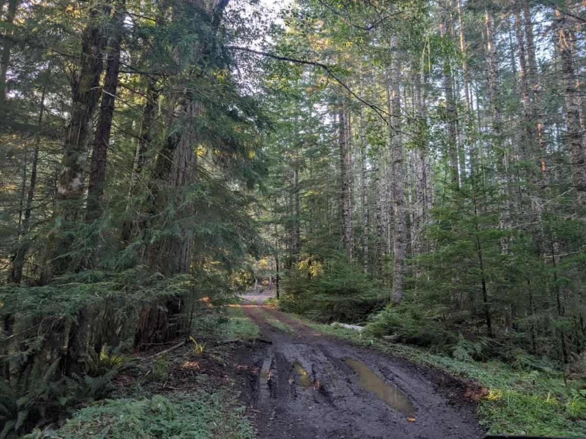 1820 trail photo