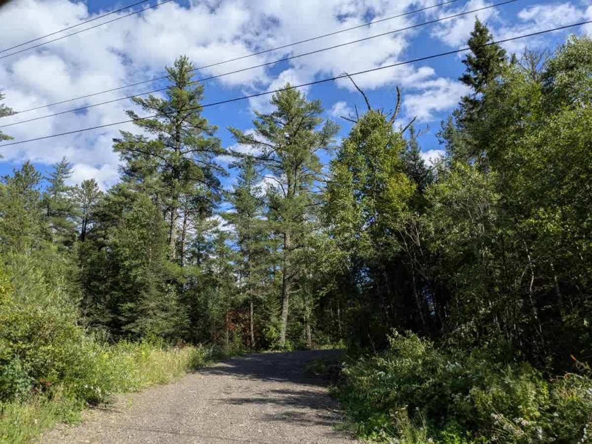 Twin Lakes Road trail photo
