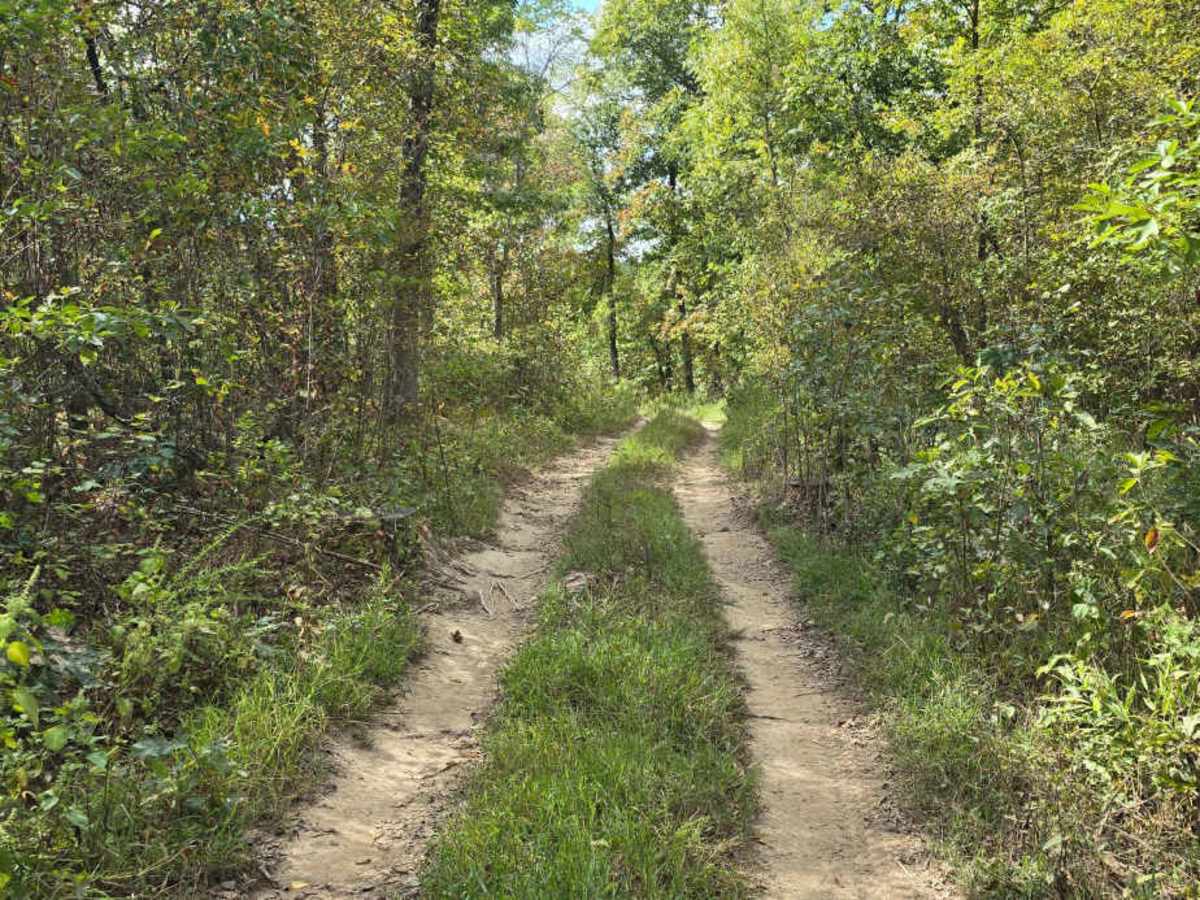 Fresno Trail photo 4