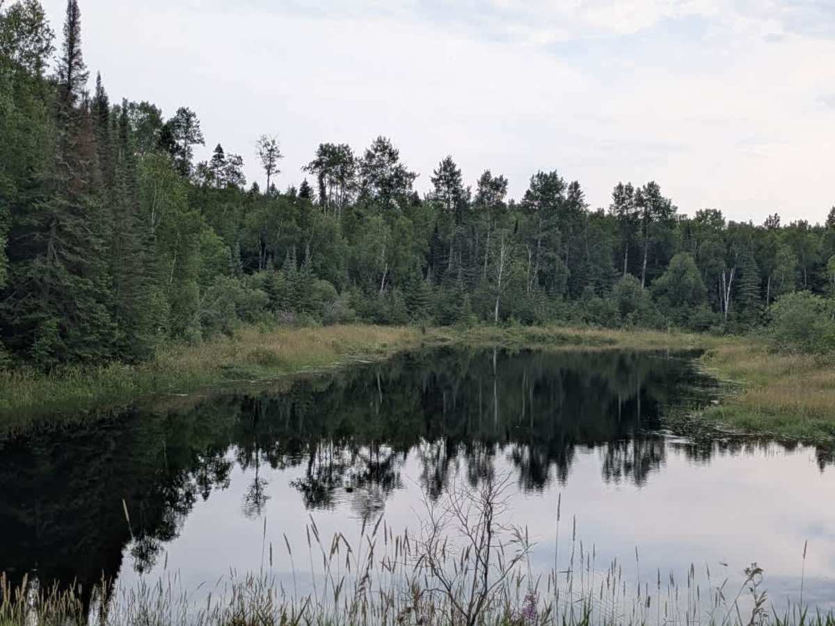 Otter Lake photo 5