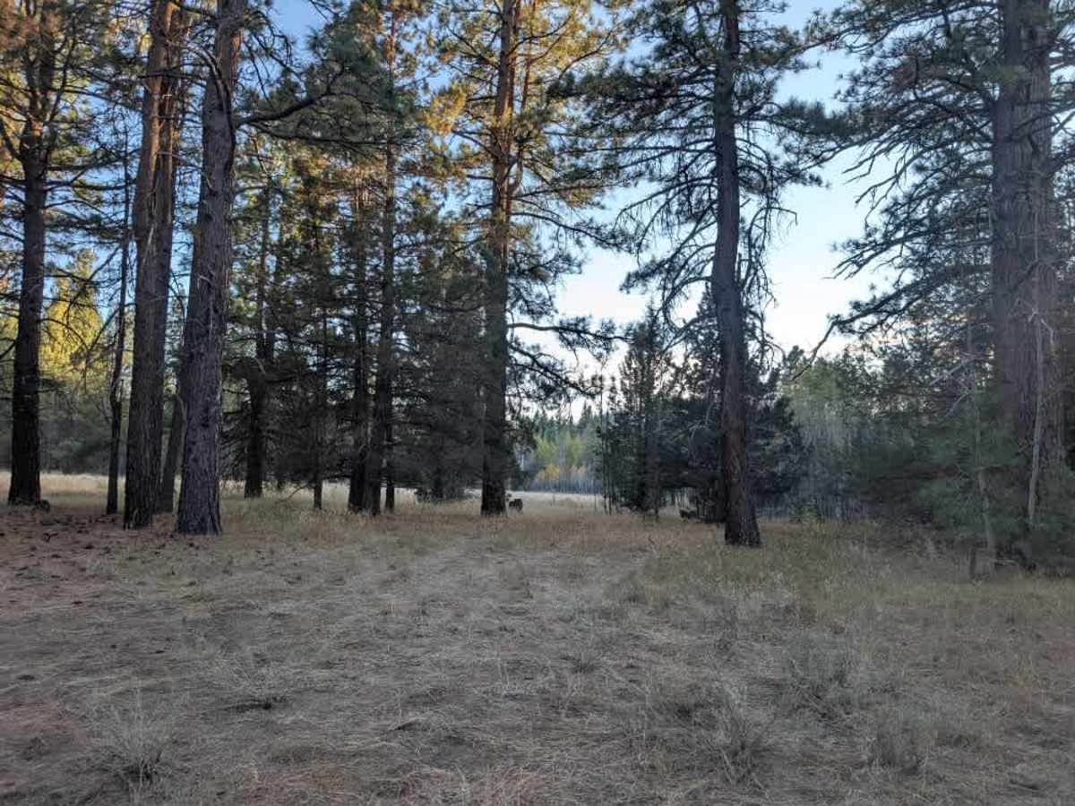 FS 32N84Y, California | Off-Road Trail Maps, Difficulty, Trail Status ...