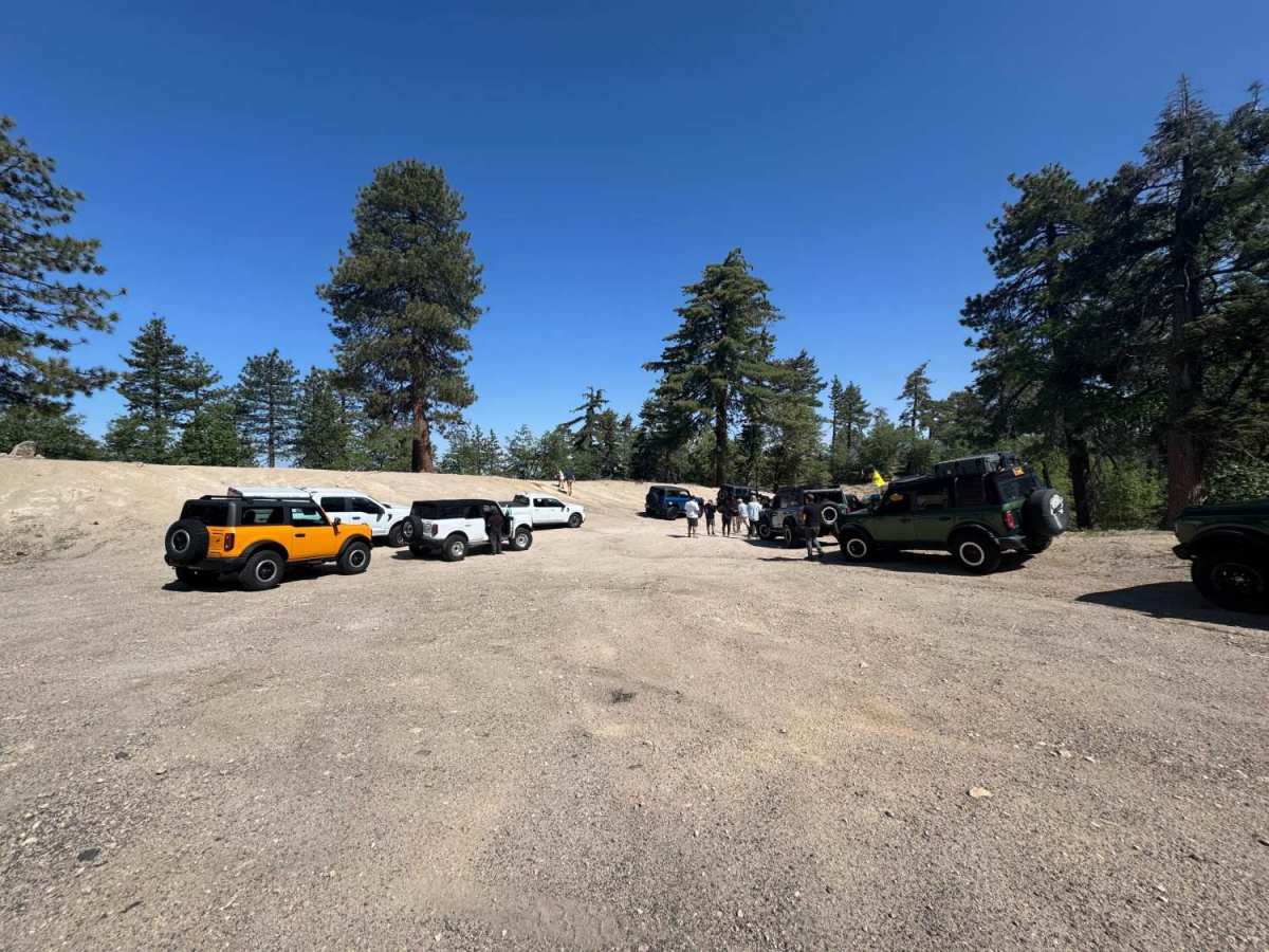 Holcomb Valley Road (West) - FS 3N16 photo 3