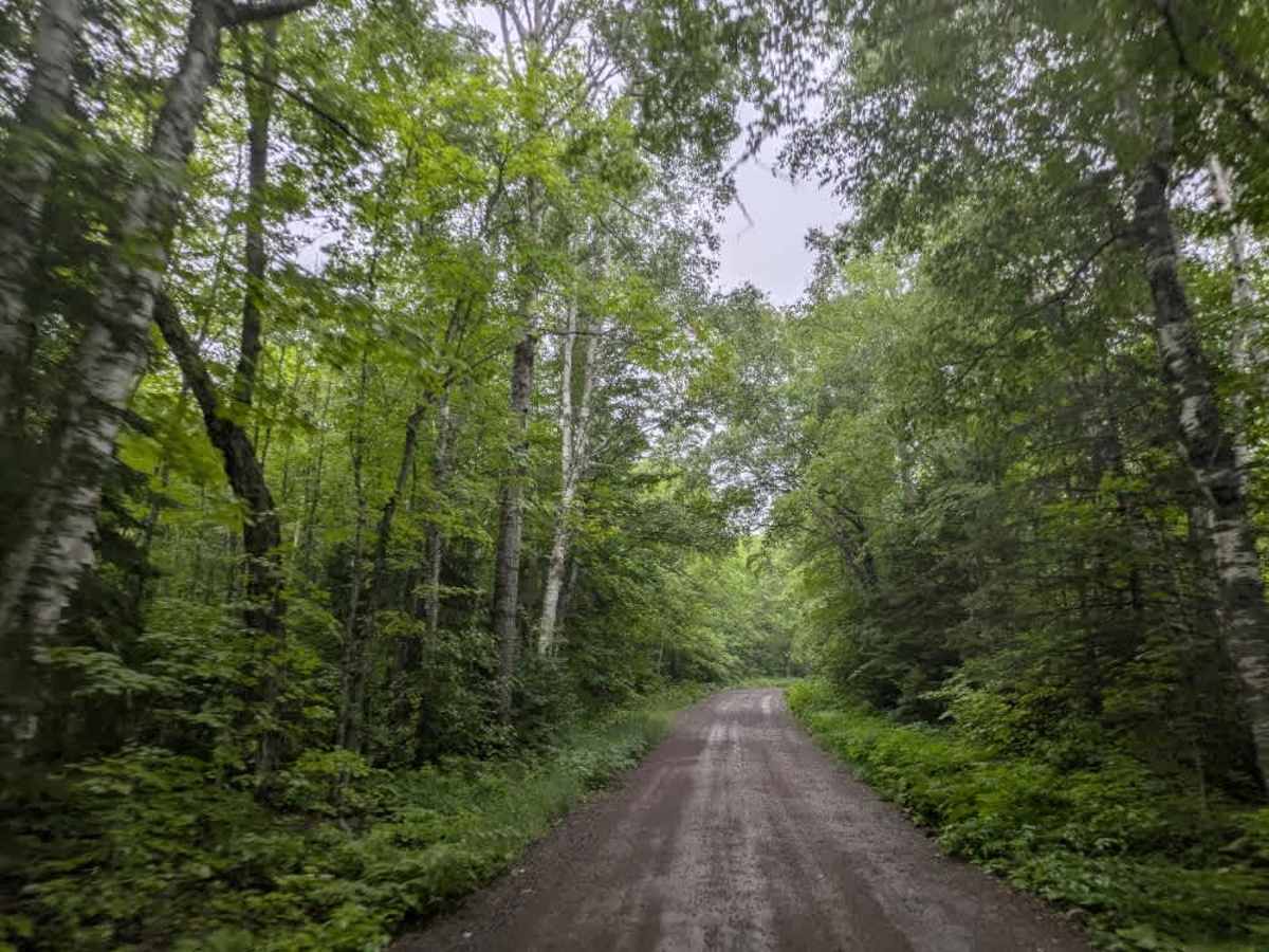 Honeymoon Trail photo 5