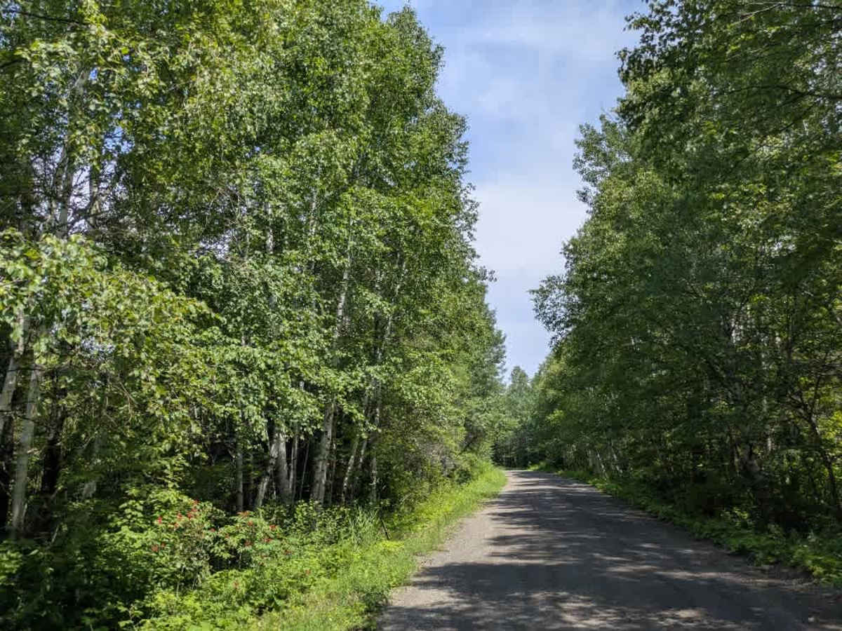 Shoe Lake Road photo 3