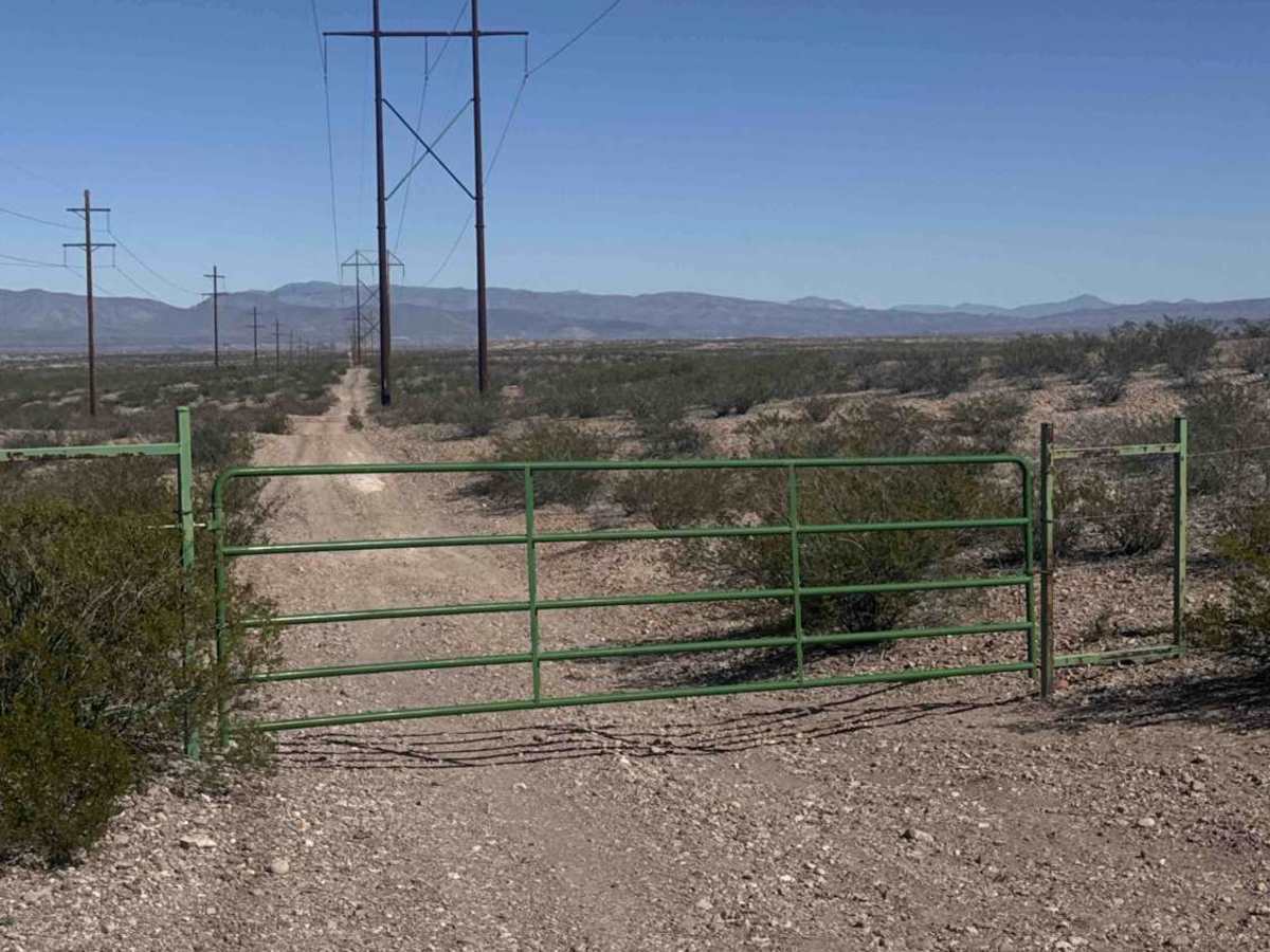 Ss1012 photo 5