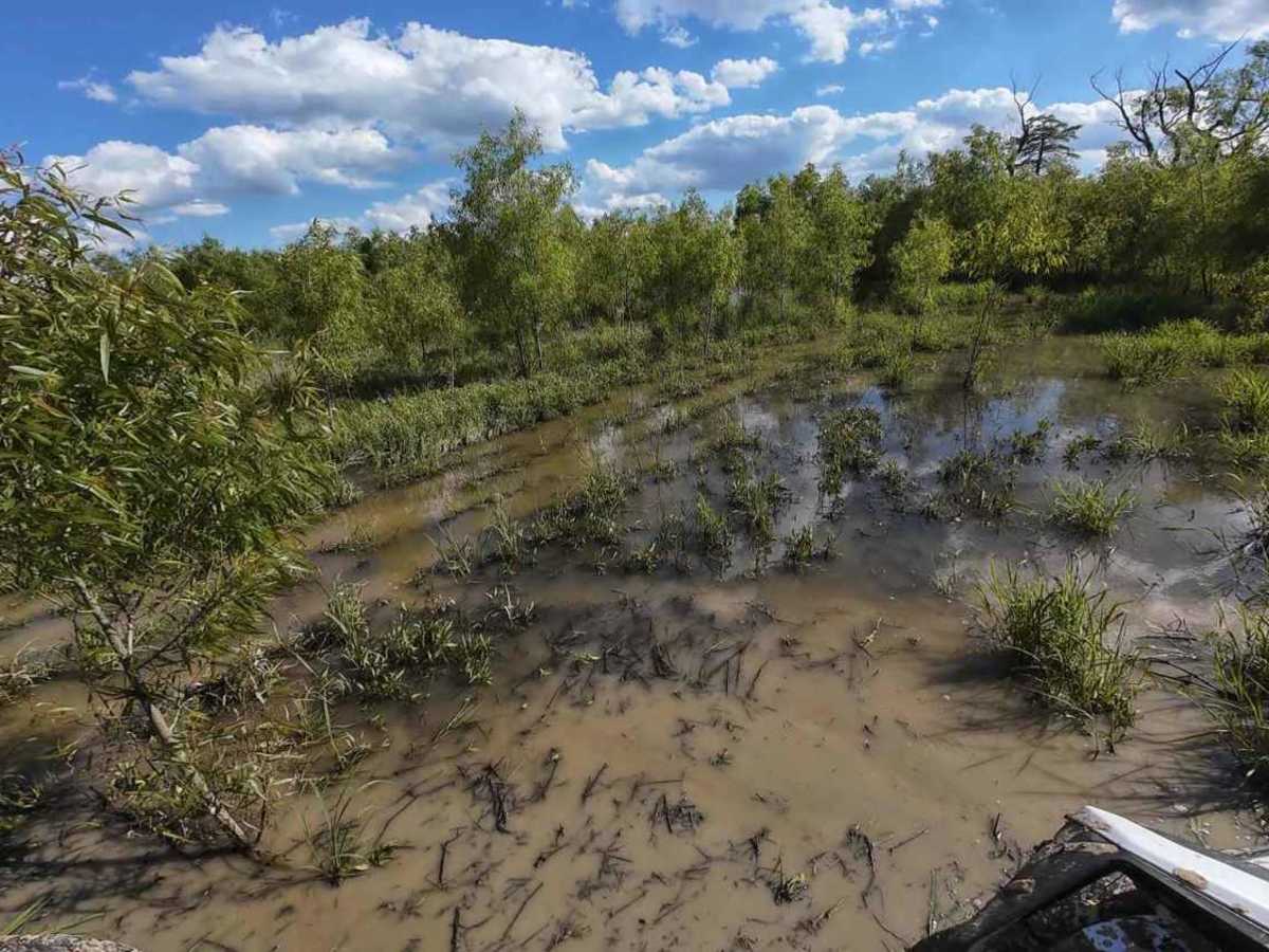 Anaconda Loop photo 3