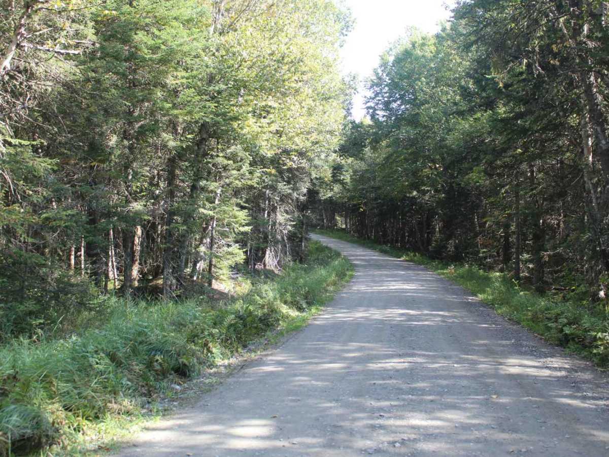 East Inlet Road photo 3