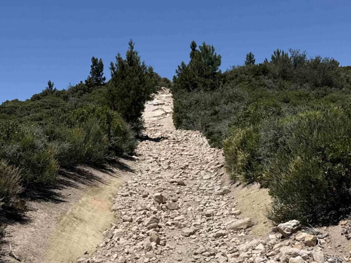 Skyline trail photo