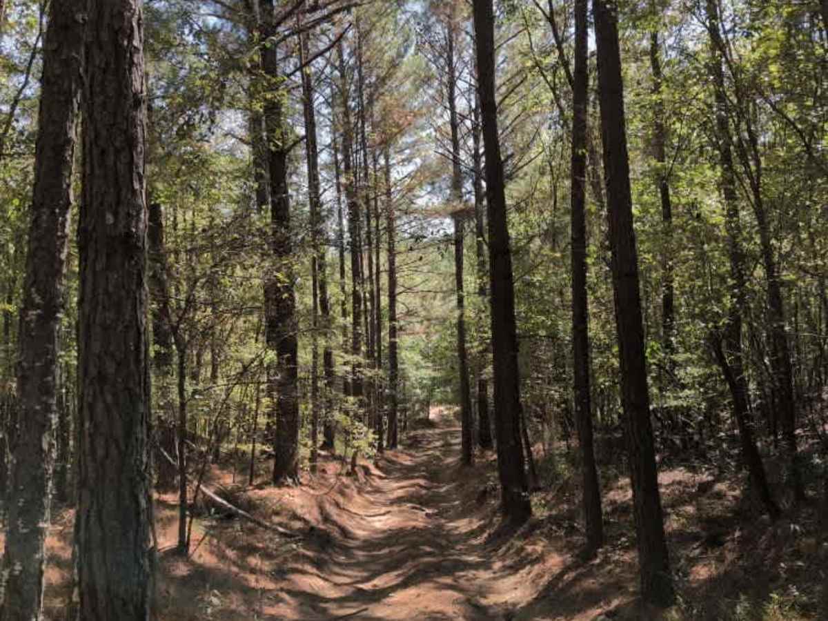 #18 Gate Road trail photo