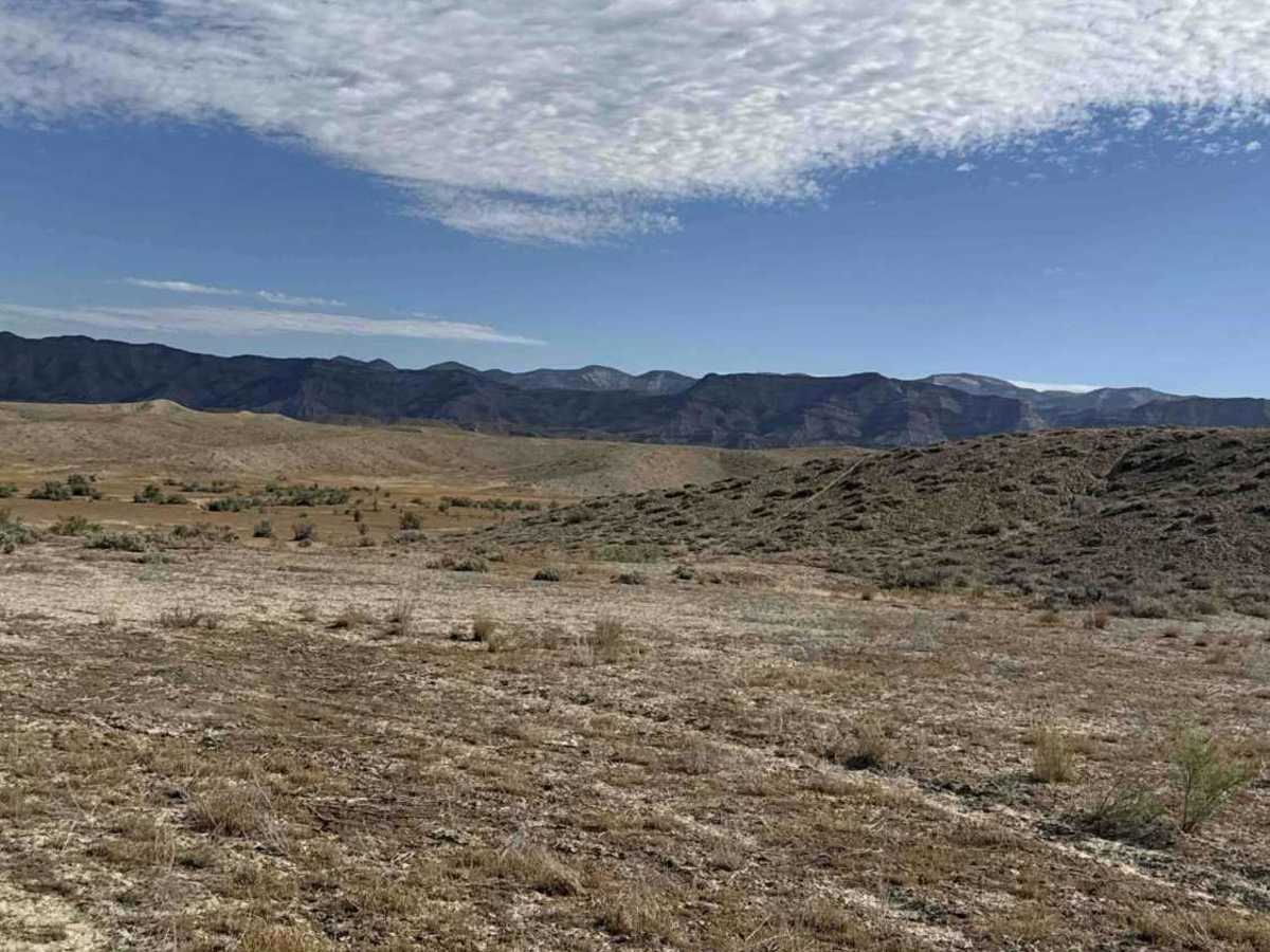 BLM 182 photo 6