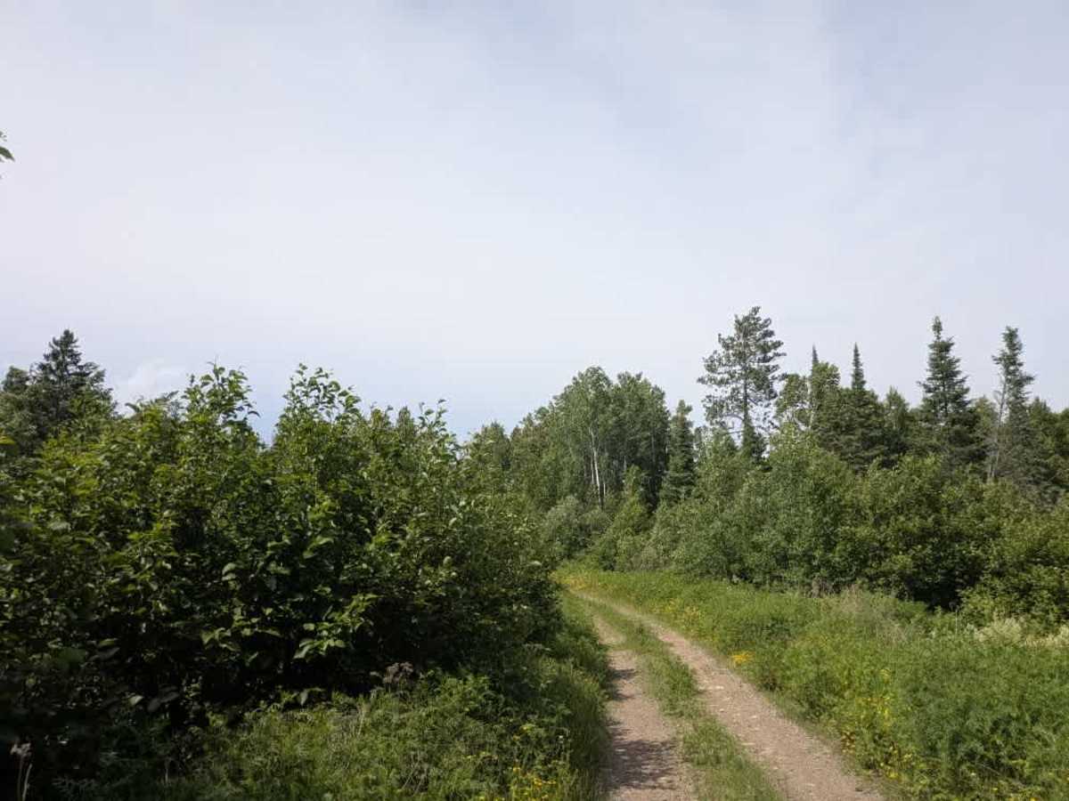 Pequaywan/Brimson Trail photo 6