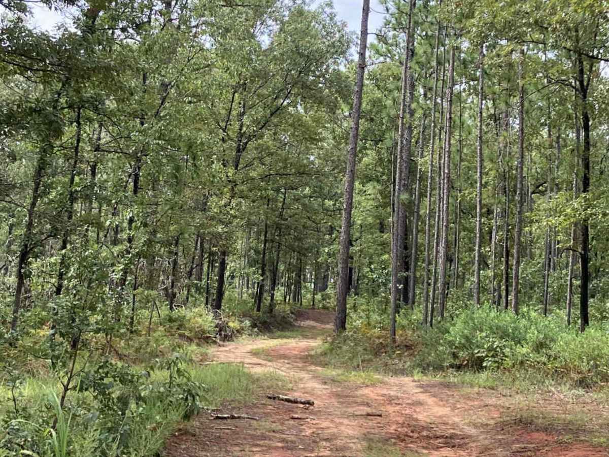 S102 trail photo