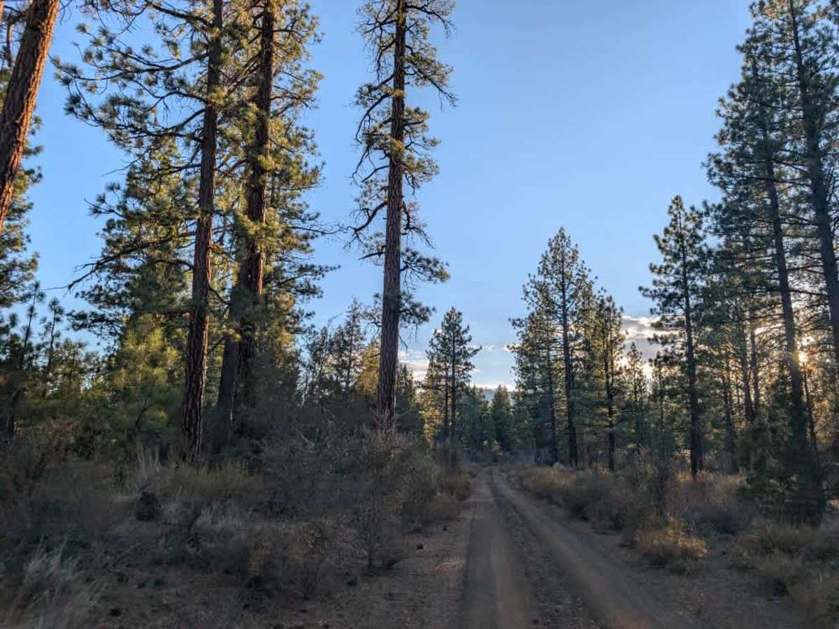 FS 32N84Y, California | Off-Road Trail Maps, Difficulty, Trail Status ...