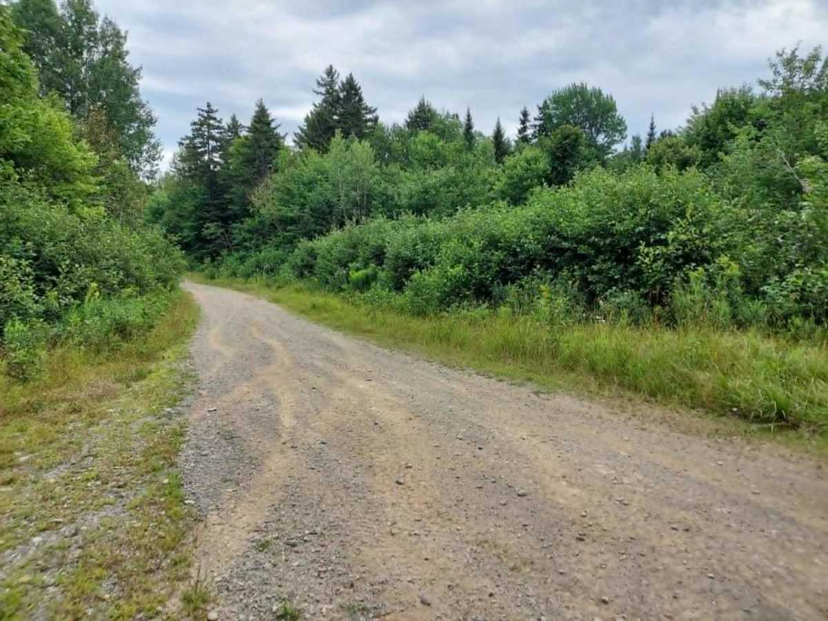 Cut Off Road photo 4