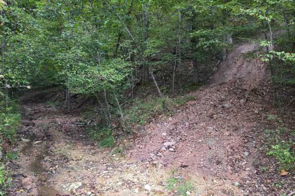 Woodlands Trail #2