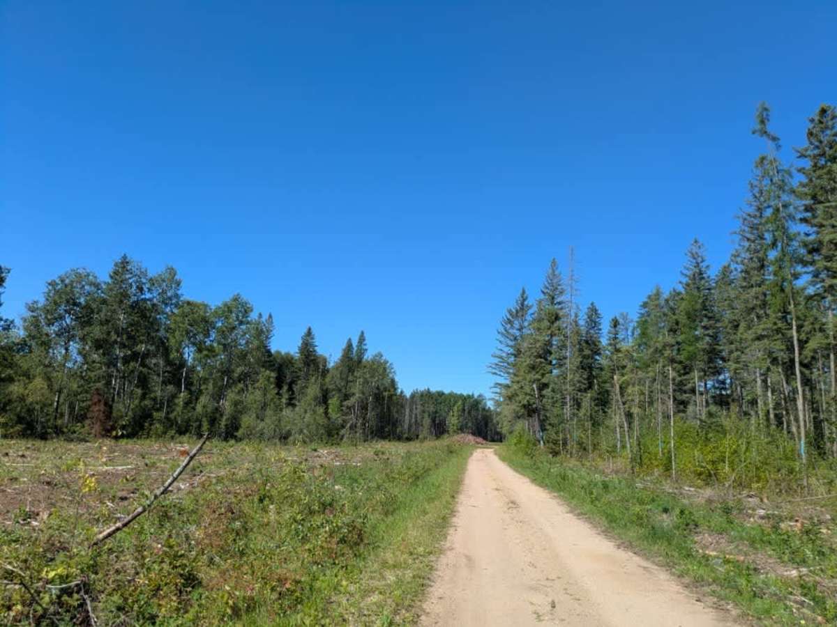 Swartz Forest Road photo 3