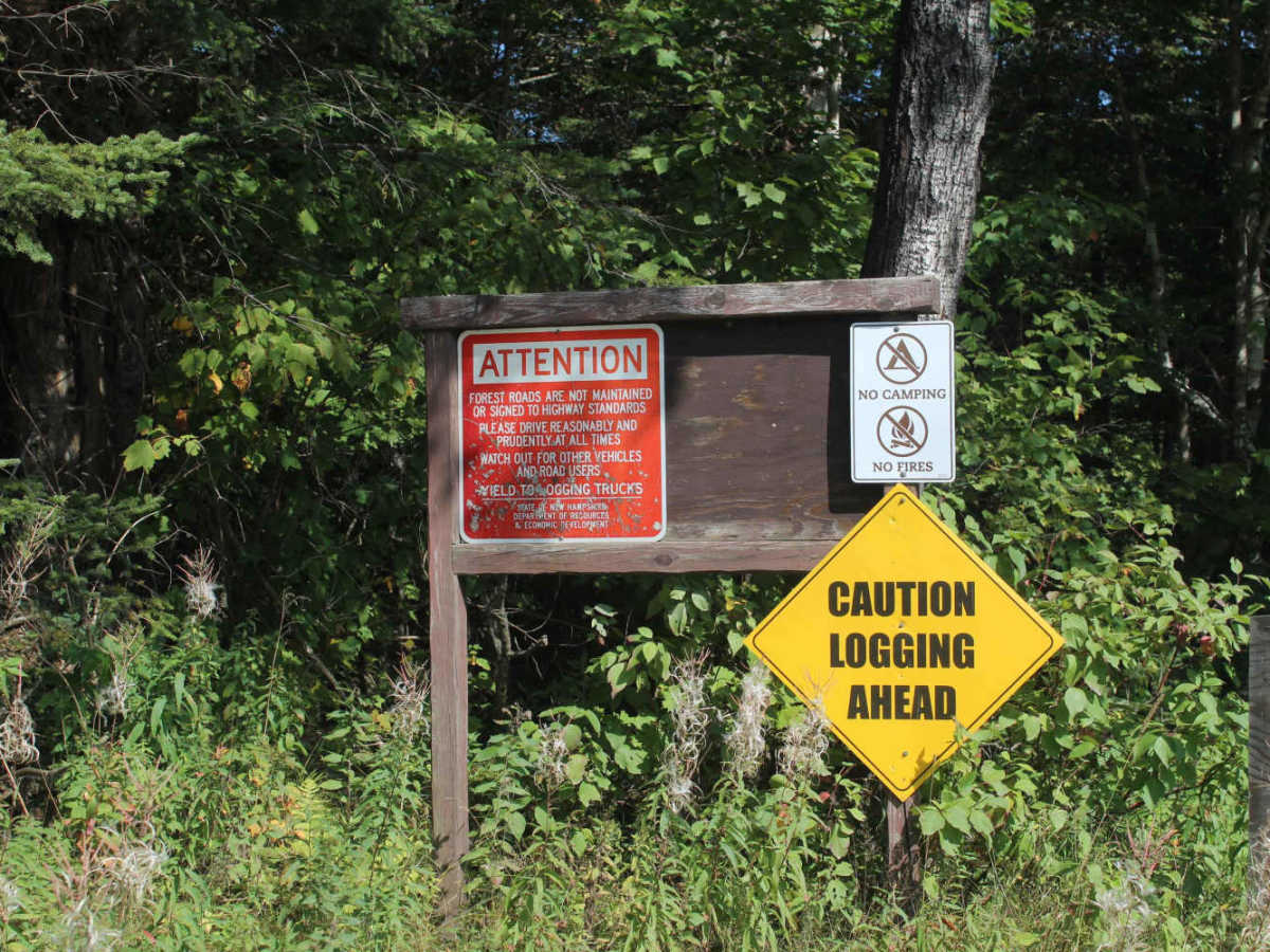 East Inlet Road trail photo