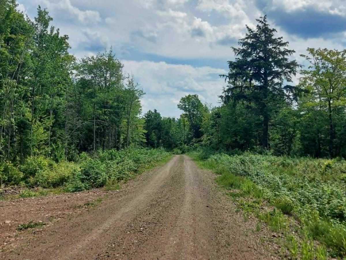 SCOPAN Slip Road photo 2