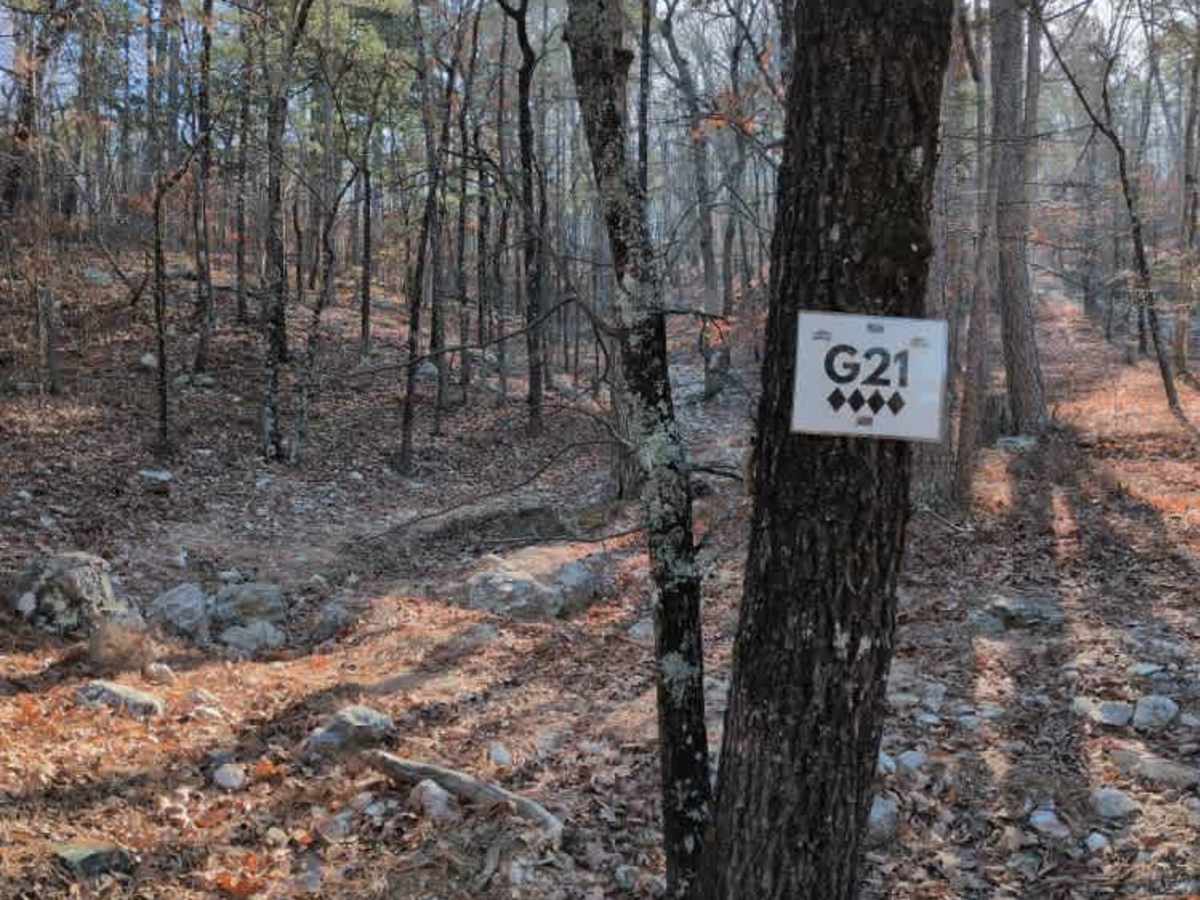 G21 photo 2