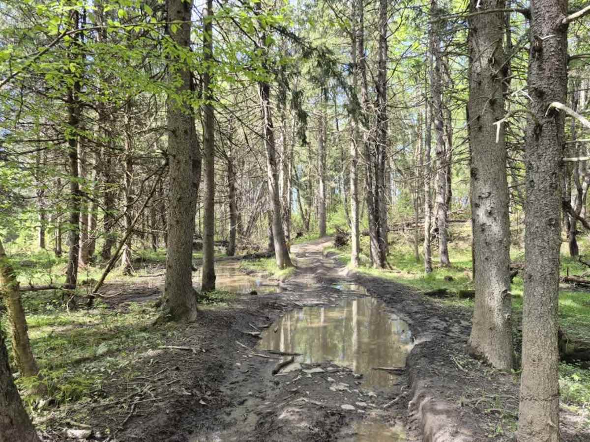 Lower Forks-Factory Trail photo 6