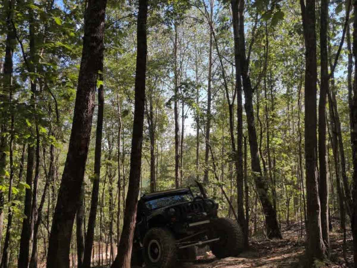 #23 Lucky's Trail photo 5