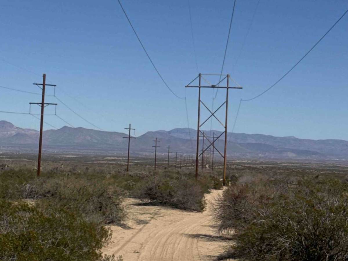 Ss1012 trail photo