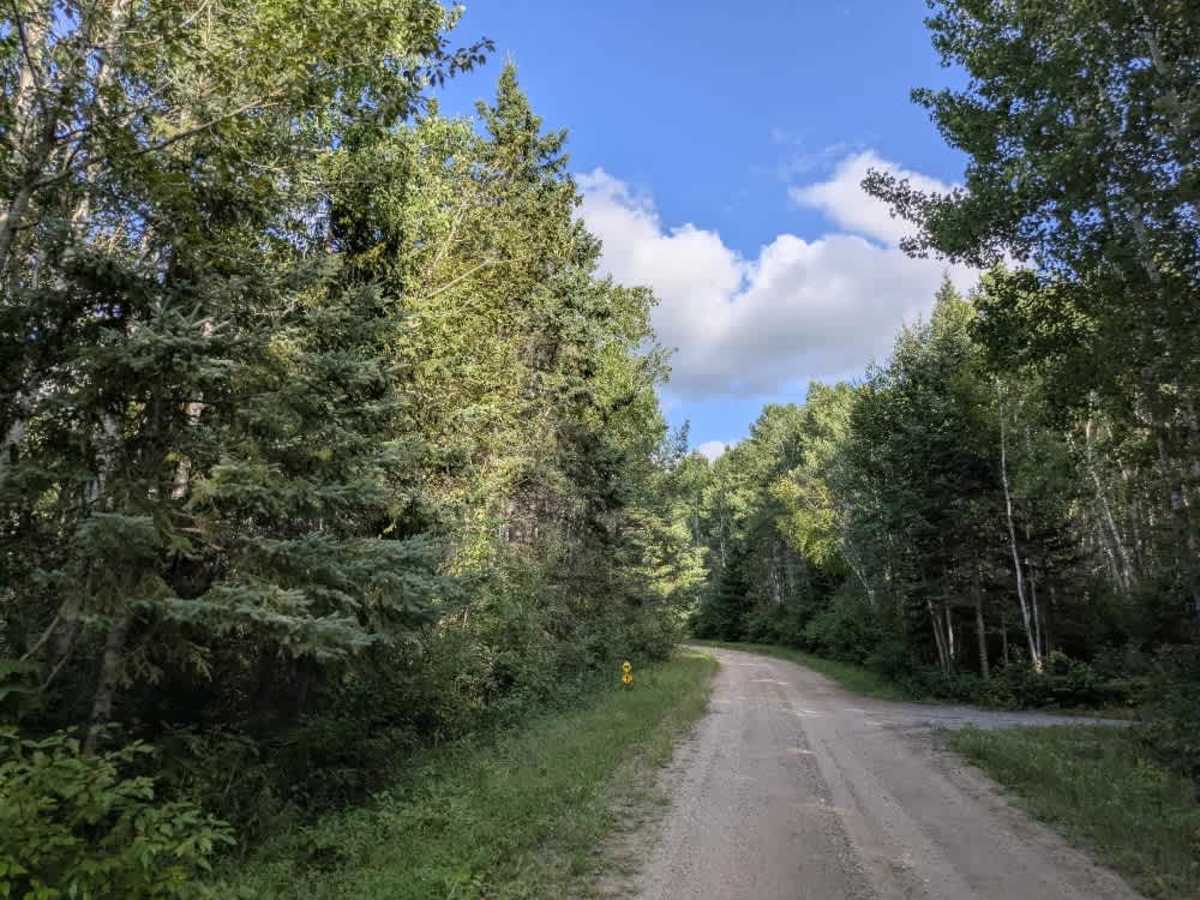 Bednar Forest Road photo 3