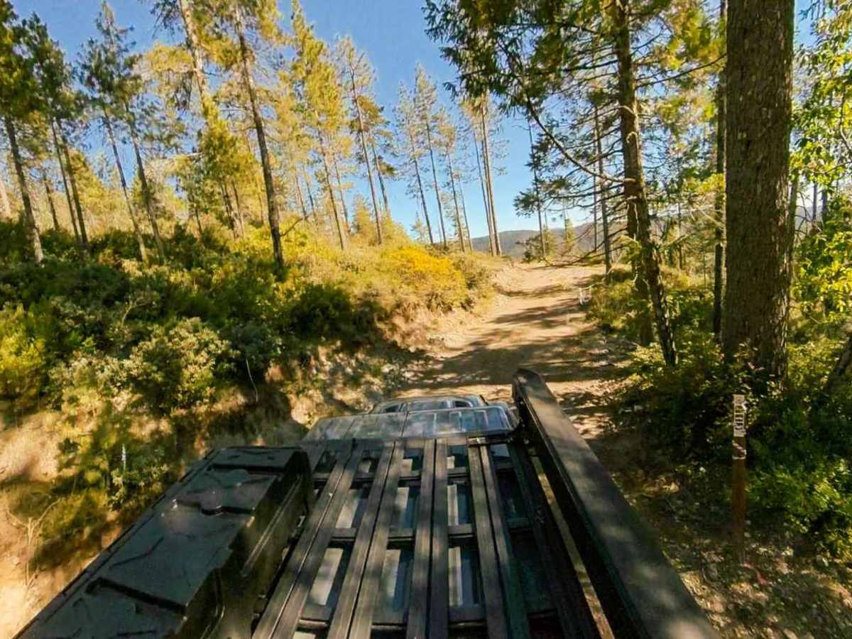Black Jack Mine trail photo