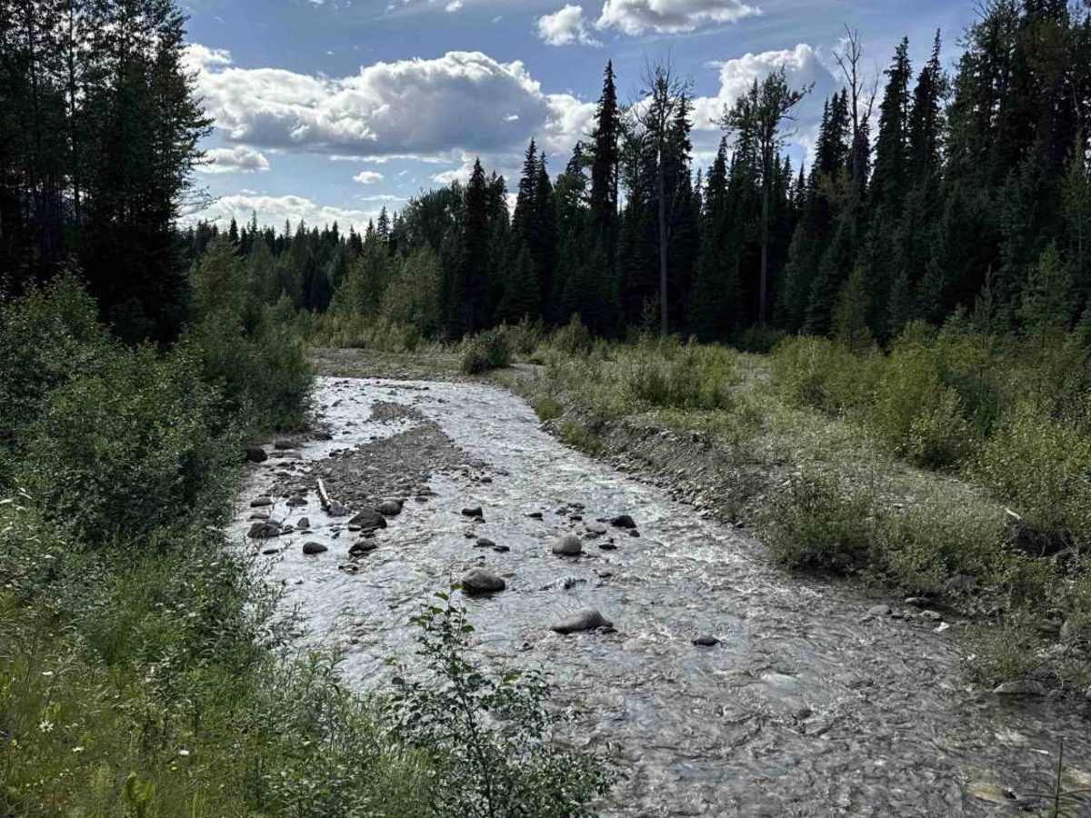 Bowron FSR (Haggle Creek) photo 5